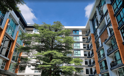 คอนโดมิเนียม D65